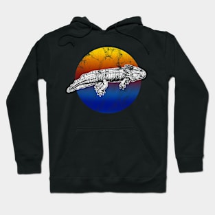 Axolotl Colorful Cute Animal Vintage Distressed Design Hoodie